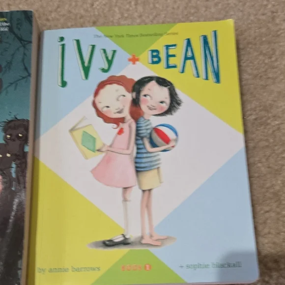 Chapter Book Collection - Picture 2 of 10